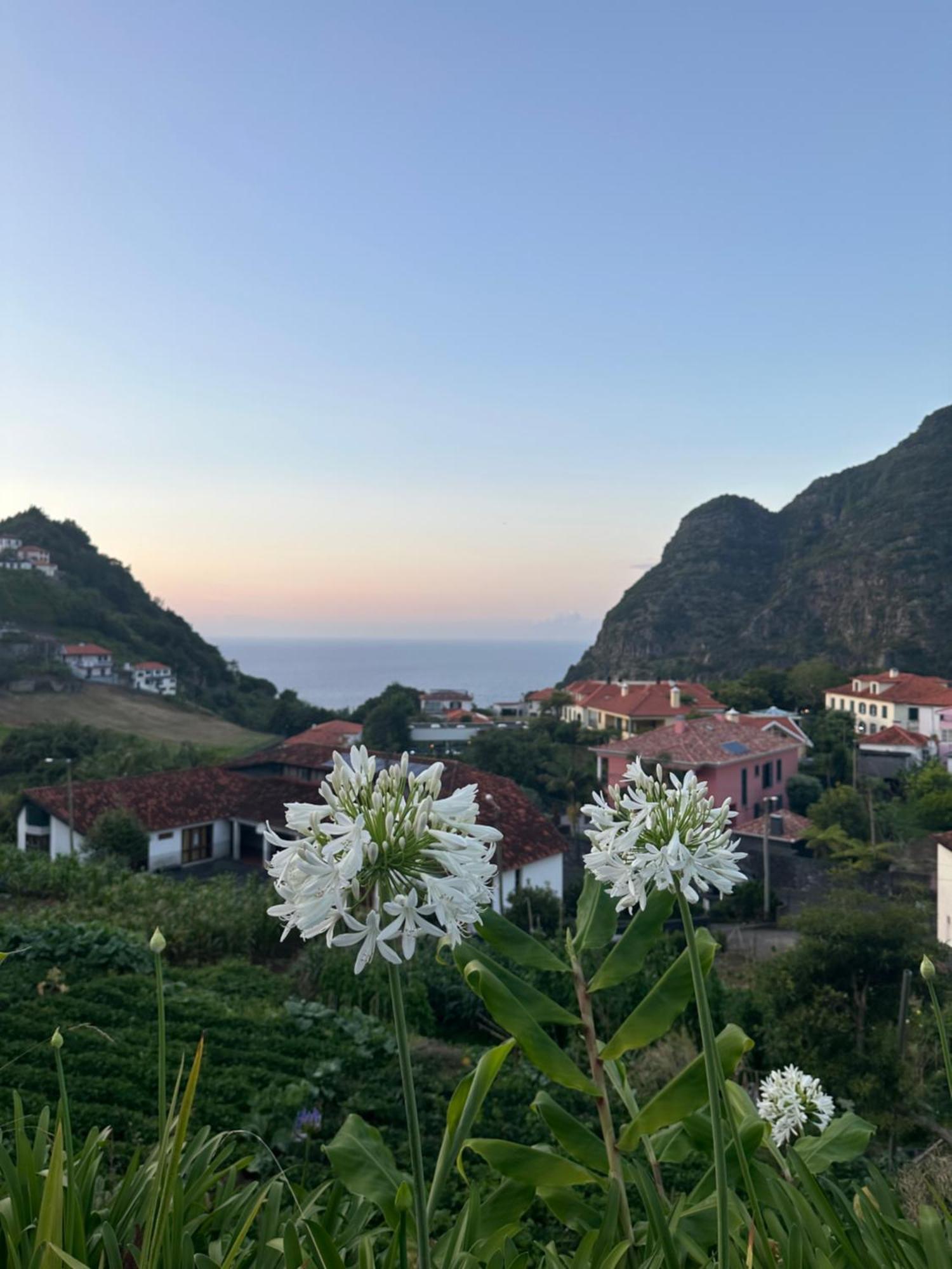The Green Valley House Sao Vicente  Bagian luar foto